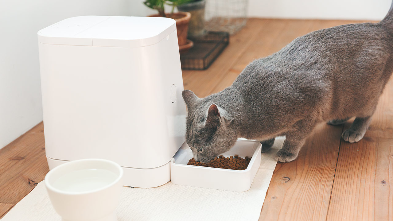 PETLY Automatic Pet Feeder