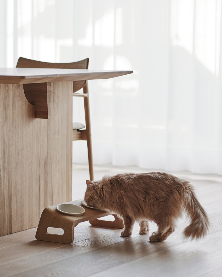 KARIMOKU CAT RESTROOM | Journal - RINN Inc.