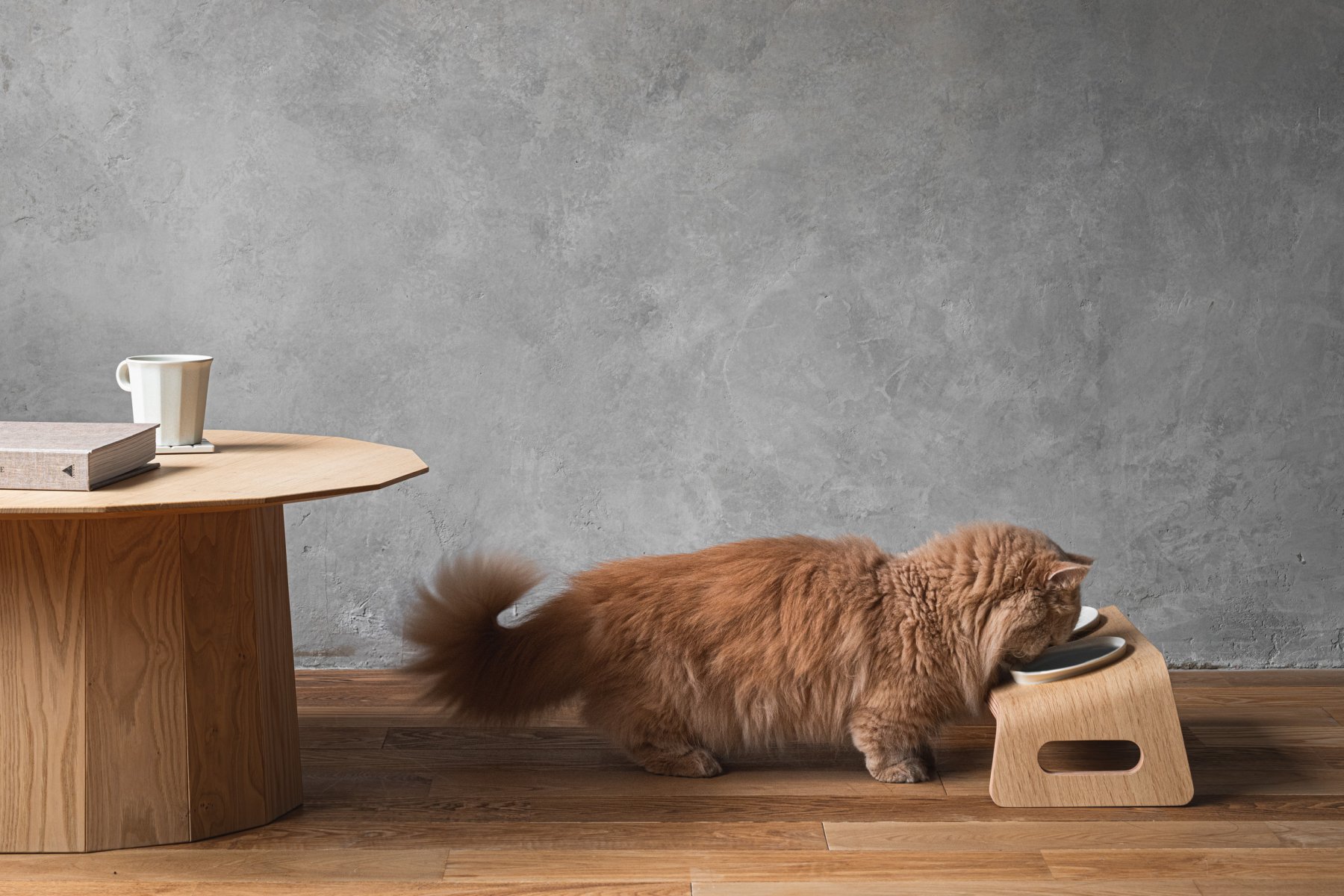 KARIMOKU CAT TABLE | Journal - RINN Inc.