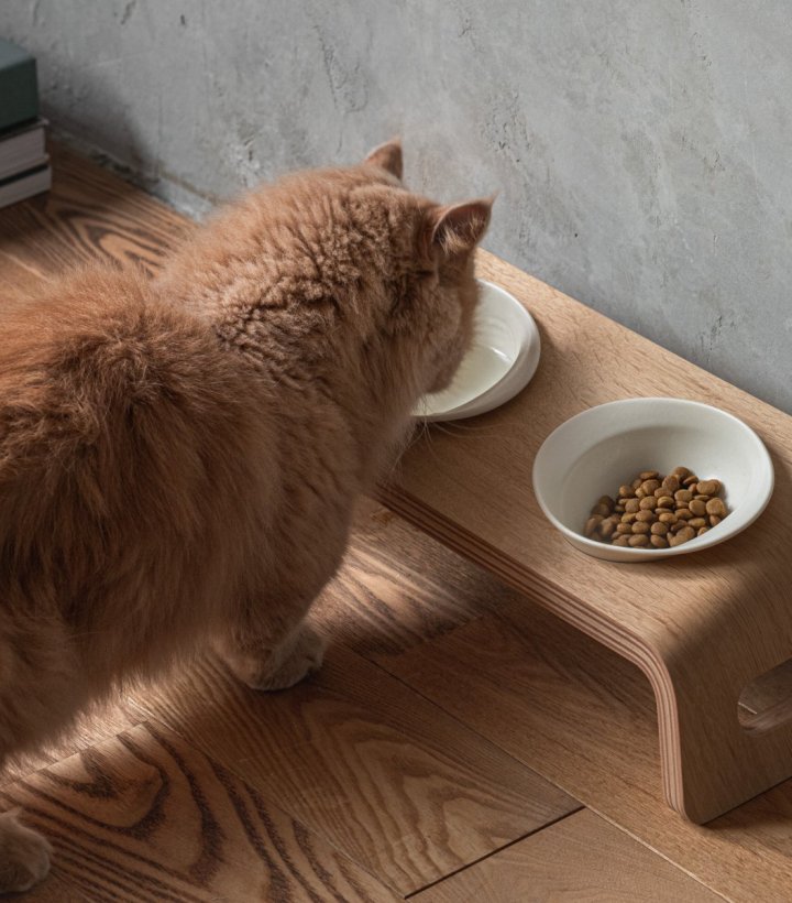 KARIMOKU CAT TABLE | Journal - RINN Inc.