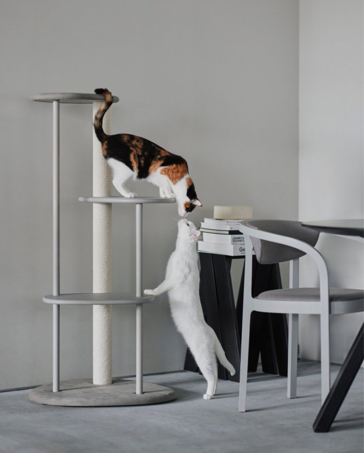 KARIMOKU CAT RESTROOM | Journal - RINN Inc.